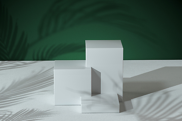 포토 JPG 해외이미지 모양 식물 무료이미지 실루엣 벽 백그라운드 잎 비즈니스 미래 3 그림자 서기 사람없음 장식 초록색 빛 햇빛 유행 3D 우주 맑음 공백 무대 흰색 나뭇가지 발표 모서리 상품 전시회 받침대 큐브 오브젝트 진열장 장면 기하학 단상 내추럴 지휘대 해외202009 해외202105 해외포토 나무 컬러 컨셉 무늬 모션 날씨 촬영기법 태양 전시 디지털합성 파일형식 무료콘텐츠