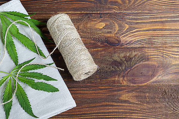 포토 JPG 해외이미지 나무 식물 무료이미지 꽃 산업 밧줄 음식 줄기 백그라운드 잎 공장 자연 휴식 씨앗 잔디 사람없음 초록색 약 회색 금지 직물 신선 잡초 삼 구부린 약초 인쇄 수집 심볼 회전 법 중독 밭일 불법 추출 투쟁 대마초 해외202009 해외202105 해외포토 줄 컬러 컨셉 채소 공업 의학 모션 풀_식물 범죄 생태계 마약 파일형식