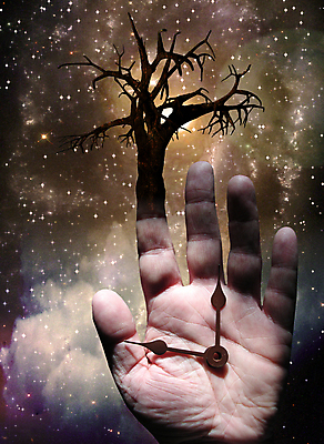 포토 JPG 해외이미지 나무 식물 무료이미지 아이콘 손 디자인 계절 시계 줄기 백그라운드 컨셉 일러스트 손가락 자연 벽지 추상 미래 사람 사람없음 목재 그래픽 환경 성장 나뭇가지 시간 보호 숲 심볼 사인 그림 에코 과거 통과 내추럴 분 생태학 엘리먼트 스타일 해외202009 해외202105 해외포토 교육 무늬 재료 신체부위 생태계 파일형식 무료콘텐츠