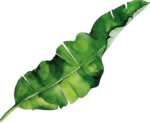 EPS 해외이미지 식물 손 디자인 꽃 결혼 백그라운드 잎 꽃무늬 일러스트 자연 수채화 미술 장식 초록색 물 정원 봄 수확 벚꽃 흰색 신용카드 그리기 개화 오브젝트 그림 복고 고립 해외202009 해외일러스트 자연요소 계절 컬러 무늬 농업 모션 문화예술 이벤트 신체부위 금융 생태계 파일형식 벡터