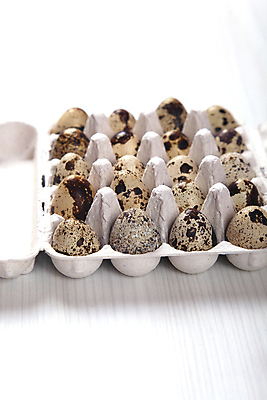 포토 JPG 해외이미지 전통 디자인 계절 음식 백그라운드 패턴 재료 자연 휴가 부활절 건강 사람없음 목재 장식 상자 농장 갈색 계란 축제 치킨 흰색 시골 축하 신선 그룹 아침식사 상품 작음 컨테이너 먹기 심볼 깃털 유기농 팩 내추럴 단백질 메추리 콘크리트 해외202009 해외포토 나무 웰빙 기념일 산업 컬러 컨셉 무늬 농업 모션 알 식사 화장품 크기 생태계 닭고기요리 영양소 파일형식