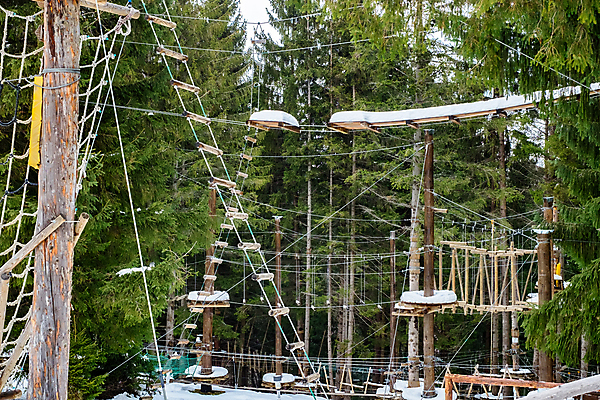 포토 JPG 해외이미지 나무 라이프스타일 공원 길 호수 밧줄 스포츠 여행 백그라운드 자국 자연 휴가 산 풍경 사람없음 야외 목재 초록색 계단 환경 트래킹 하이킹 황무지 숲 내추럴 전국 절정 해외202009 해외포토 식물 공공시설 줄 컬러 재료 레저 생활 생태계 파일형식