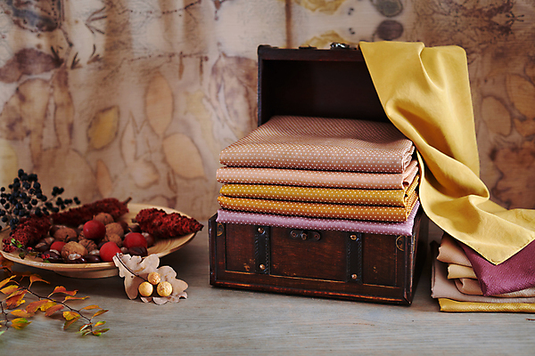 포토 JPG 해외이미지 식물 접시 디자인 열매 꽃 음식 잎 건조 사람없음 장식 유행 환경 정원 견과류 가을 면 숲 바느질 실크 천 유기농 양모 생태학 퀼트 해외202009 해외포토 식기 웰빙 계절 교육 직물 파일형식