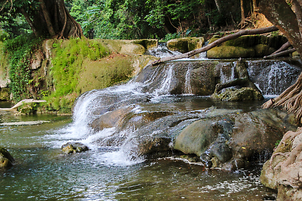 포토 JPG 해외이미지 나무 계절 공원 여행 잎 태국 자연 산 풍경 사람없음 야외 초록색 물 빛 강 여행객 평화 환경 봄 폭포 젖음 흐름 가을 신선 개울 숲 내추럴 전국 해외202009 해외포토 자연요소 식물 공공시설 아시아 컬러 컨셉 사람 생태계 파일형식