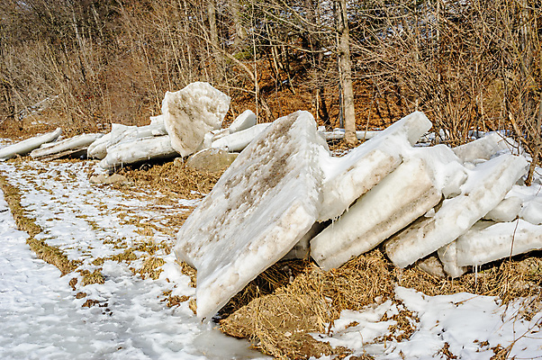 포토 JPG 해외이미지 나무 계절 조각 캐나다 겨울 자연 표면 날씨 사람없음 야외 쌓기 환경 냉동 얼음 블록 추위 나뭇가지 거친 빙하 서리 먼지 진흙 판 덩어리 내추럴 고체 깨짐 땅바닥 막 해외202009 해외포토 자연요소 식물 컨셉 북아메리카 모션 바닥 생태계 파일형식