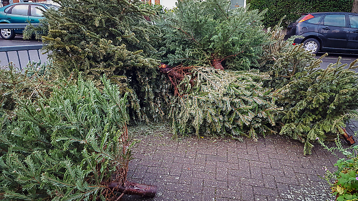 포토 JPG 해외이미지 나무 식물 계절 크리스마스 겨울 휴가 거리 사람없음 야외 초록색 쌓기 환경 재활용 도시 소나무 던지기 보행로 떨어짐 쓰레기 폐기물 거절 수집 버리기 전나무 흙더미 1월 낭비 길가 처리 해외202009 해외포토 기념일 길 컬러 컨셉 모션 흙 날짜 친환경 파일형식 더미