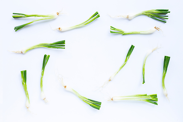 포토 JPG 해외이미지 무료이미지 커플 음식 백그라운드 농업 채소 가방 재료 전구 건강 마늘 요리 사람없음 초록색 농작물 수확 신선 양념 그룹 시장 맛 다발 향신료 묘사 매움 싸움 날것 향 레시피 후추 성분 동쪽 로즈메리 내추럴 식용 강황 해외202009 깎기 해외202105 해외포토 잡화 산업 컬러 컨셉 식재료 관계 모션 방향 허브 향미료 파일형식 무료콘텐츠