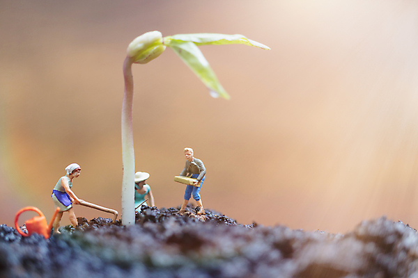 포토 JPG 해외이미지 사람없음 새싹 농사 미니어처 농부 밭일 해외202009 해외포토 식물 직업 농업 모형 파일형식