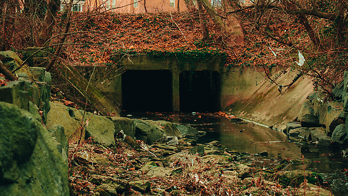 포토 JPG 해외이미지 나무 식물 공원 지구 잎 자연 하늘 이끼 사람없음 야외 목재 물 강 환경 미국 어둠 젖음 흐름 성장 잡초 개울 막대기 터널 질감 격려 암초 강렬 깨짐 콘크리트 해외202009 해외포토 자연요소 공공시설 감정 길 컨셉 북아메리카 재료 모션 생태계 파일형식