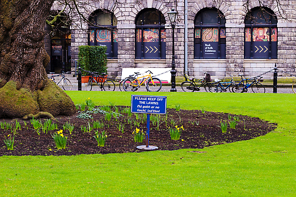 포토 JPG 해외이미지 학생 전통 외관 교육 문화 건축양식 잔디 사람없음 학습 정원 역사 큼 분수 대학교 법정 안뜰 옛날 해외202009 해외포토 식물 건축 학교 크기 파일형식