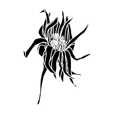 EPS 해외이미지 클립아트 식물 손 배너 꽃잎 꽃 실루엣 선 백그라운드 잎 꽃무늬 일러스트 자연 잉크 미술 그래픽 장식 펜 정원 검은색 봄 흰색 우아함 숲 만화 스케치 허브 그림 유기농 윤곽 손그림 고립 그리너리 해외202009 해외일러스트 웰빙 계절 컬러 컨셉 무늬 문화예술 촬영기법 신체부위 필기구 생태계 파일형식 벡터 트랜드컬러