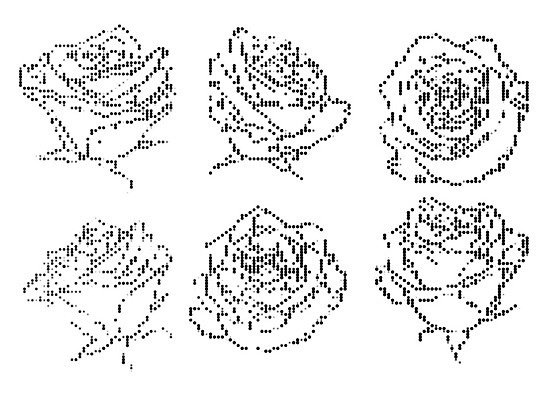 EPS 해외이미지 모양 식물 디자인 꽃잎 꽃 선 잎 꽃무늬 패턴 일러스트 자연 벽지 추상 미술 경사 그래픽 장식 장미 검은색 어둠 수확 벚꽃 흰색 점 그림 질감 윤곽 기하학 우표 고립 엘리먼트 줄서기 효과 해외202009 해외일러스트 컬러 무늬 농업 모션 문화예술 생태계 파일형식 벡터