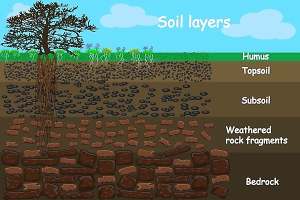 EPS 해외이미지 식물 지구 모래 과학 십자가 농업 일러스트 부분 자연 표면 날씨 풍경 그래픽 환경 정원 흙 인포그래픽 바위 계획 만화 땅 자르기 천 아래 유기농 질감 뿌리 먼지 점토 진흙 지하 층 땅바닥 지리 지질학 전경 해외202009 해외일러스트 웰빙 교육 산업 컨셉 모션 바닥 돌_바위 직물 방향 생태계 위치 파일형식 벡터 탑뷰