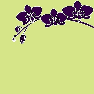 EPS 해외이미지 식물 디자인 꽃잎 꽃 실루엣 꽃다발 백그라운드 꽃무늬 농업 일러스트 자연 휴가 열대 친절 종류 선물 장식 정원 봄 달 흰색 나뭇가지 개화 난초 닫기 냄비 수집 그림 시트 내추럴 고립 이국적 피스타치오 해외202009 해외일러스트 자연요소 나무 계절 산업 컬러 무늬 모션 촬영기법 견과류 솥 생태계 파일형식 벡터