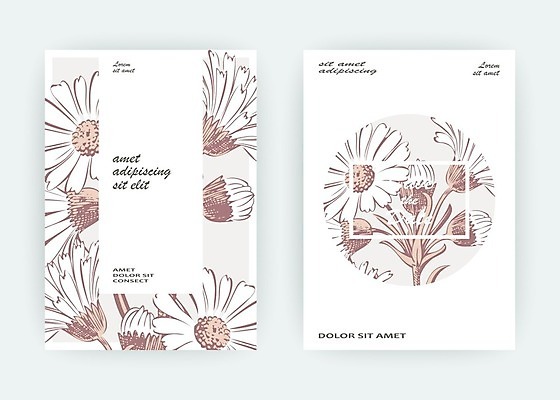 EPS 해외이미지 식물 템플릿 손 디자인 꽃 포스터 결혼 백그라운드 컨셉 꽃무늬 패턴 일러스트 자연 프레임 국화 그래픽 여름 빛 파티 유행 봄 덮개 벚꽃 흰색 인사 원형 신용카드 낙서 스케치 데이지 심플 초대 금잔화 고립 캐모마일 파스텔톤 헤딩 미니멀리스트 미니멀 국경 해외202009 해외일러스트 도형 계절 컬러 무늬 미술 이벤트 신체부위 금융 축구 뚜껑 예절 허브 생태계 파일형식 벡터