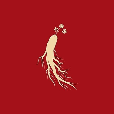 EPS 해외이미지 건강 사람없음 약 인삼 뿌리 빨간배경 인삼꽃 해외202009 꽃 백그라운드 의학 빨간색 삼 파일형식 벡터