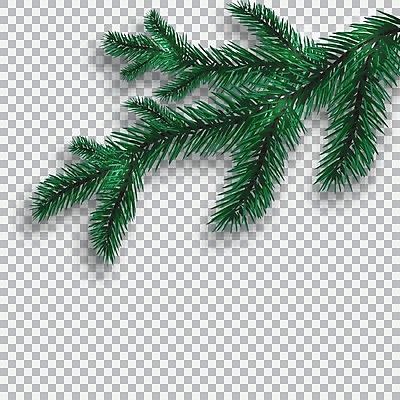 EPS 해외이미지 나무 식물 전통 디자인 실루엣 백그라운드 크리스마스 일러스트 자연 휴가 새로움 기념 프레임 세포 장식 초록색 축제 공백 나뭇가지 축하 인사 소나무 바늘 신용카드 숲 연도 심볼 뼈대 상록수 침엽수 전나무 고립 가문비나무 현실 국경 해외202009 해외일러스트 기념일 컬러 컨셉 촬영기법 금융 도구 예절 생태계 파일형식 벡터