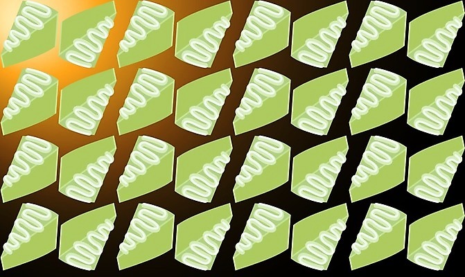 EPS 해외이미지 모양 식물 디자인 공원 백그라운드 잎 패턴 일러스트 모션 자연 벽지 표면 추상 여러명 그래픽 초록색 여름 컬러풀 유행 환경 디지털 정원 웹 봄 성장 직물 신선 모서리 숲 질감 날카로움 기하학 내추럴 양치류 해외202009 해외일러스트 계절 공공시설 컬러 다수 무늬 인터넷 사람 생태계 파일형식 벡터