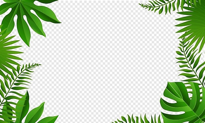 EPS 해외이미지 식물 템플릿 디자인 배너 계절 꽃 포스터 종이 백그라운드 컨셉 꽃무늬 일러스트 비즈니스 자연 휴가 프레임 연꽃 손바닥 장식 초록색 여름 파티 라벨 세일 상점 봄 발표 상품권 승진 내추럴 주목 특별함 제의 해외202009 해외일러스트 손 컬러 무늬 이벤트 생태계 파일형식 벡터