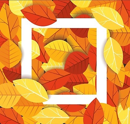 EPS 해외이미지 단풍 낙엽 일러스트 사람없음 주황색 가을 테두리 해외202009 해외일러스트 계절 컬러 잎 파일형식 벡터