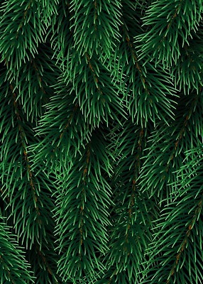 EPS 해외이미지 나무 식물 템플릿 전통 디자인 배너 계절 백그라운드 크리스마스 겨울 패턴 일러스트 자연 벽지 휴가 새로움 프레임 장식 초록색 3D 축제 나뭇가지 축하 소나무 신용카드 화려 연도 질감 상록수 전나무 내추럴 가문비나무 현실 국경 해외202009 해외일러스트 기념일 컬러 컨셉 무늬 금융 디지털합성 생태계 파일형식 벡터