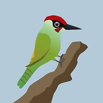 EPS 해외이미지 나무 동물 야생동물 백그라운드 날개 일러스트 자연 조류 빨간색 초록색 컬러풀 환경 나뭇가지 깃털 부리 고립 동물상 해외202009 해외일러스트 식물 컬러 조형물 생태계 파일형식 벡터