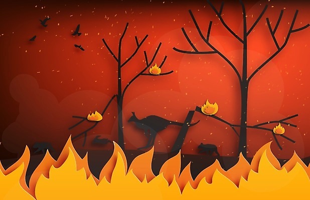 EPS 해외이미지 나무 식물 동물 공원 종이 지구 일러스트 곰 자연 조류 불 불꽃 미술 풍경 목재 빨간색 물 여름 강 환경 손상 긴급 뜨거움 뉴스 연기 호주 숲 위험 폭발 열대우림 탈출 캥거루 내추럴 생태학 아마존 재앙 화상 스타일 브라질사람 해외202009 해외일러스트 자연요소 계절 공공시설 교육 컬러 컨셉 재료 포유류 문화예술 오세아니아 상처 생태계 파일형식 벡터