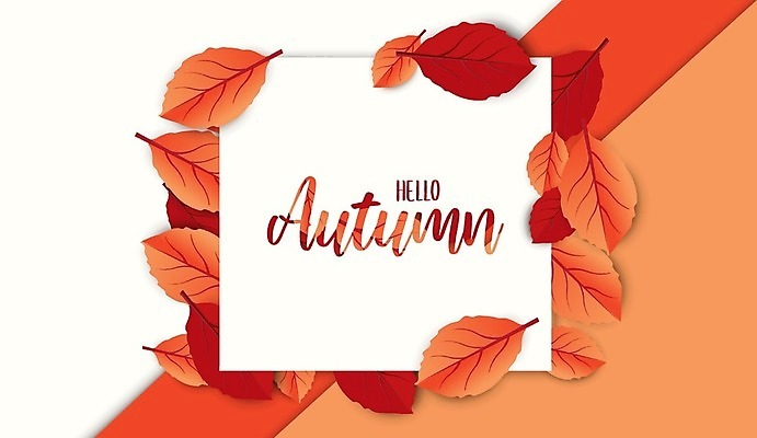 EPS 해외이미지 나무 식물 템플릿 디자인 배너 계절 포스터 리플렛 백그라운드 컨셉 단풍 잎 오렌지 일러스트 캘리그라피 텍스트 자연 벽지 휴가 프레임 선물 그래픽 장식 빨간색 컬러풀 노란색 라벨 세일 수확 가을 신용카드 인쇄 9월 사인 질감 초대 주말 추수감사절 10월 엘리먼트 레터링 해외202009 해외일러스트 기독교 컬러 농업 과일 금융 날짜 생태계 파일형식 벡터