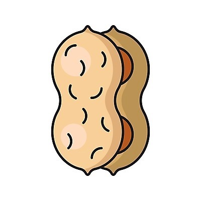 EPS 해외이미지 식물 디자인 음식 백그라운드 과일 일러스트 건조 건강 미술 씨앗 검은색 견과류 껍질 흰색 낟알 먹기 심볼 오브젝트 그림 유기농 완두콩 클립 땅콩 고립 꼬투리 엘리먼트 해외202009 해외일러스트 웰빙 컬러 모션 문화예술 콩 파일형식 벡터