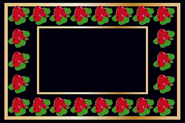 EPS 해외이미지 디자인 배너 열매 종이 음료 음식 백그라운드 가방 일러스트 포장 프레임 상자 유행 꼬리표 라벨 우주 와인 얼음 검은색 주스 화장품 공백 머그컵 덮개 나뭇가지 알코올 황금 고급 달콤 상품 잼 심볼 크림 유기농 배지 비누 패키지 기하학 요거트 바이오 요구르트 프리미엄 해외202009 해외일러스트 자연요소 나무 식물 웰빙 잡화 컬러 컨셉 무늬 유제품 주류 컵 위생용품 뷰티 뚜껑 소스_음식 맛 파일형식 벡터