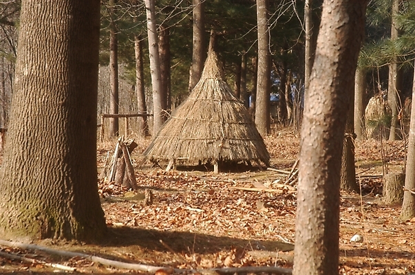 포토 JPG 주간 나무 식물 한국문화 한국전통 전통 시설물 건축 고건축 낙엽 한국건축 주택 사람없음 야외 동양건축 볏짚 과거 움집 국내포토 자연요소 동양문화 건축물 컨셉 잎 한국 건물 짚 파일형식 동양