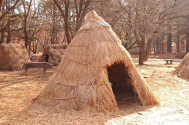 포토 JPG 주간 나무 식물 한국문화 한국전통 전통 시설물 건축 고건축 한국건축 주택 사람없음 야외 동양건축 가을 볏짚 과거 움집 국내포토 자연요소 동양문화 건축물 계절 컨셉 한국 건물 짚 파일형식 동양