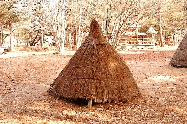 포토 JPG 주간 나무 한국문화 한국전통 전통 시설물 건축 고건축 낙엽 한국건축 주택 사람없음 야외 동양건축 가을 볏짚 과거 움집 국내포토 자연요소 식물 동양문화 건축물 계절 컨셉 잎 한국 건물 짚 파일형식 동양