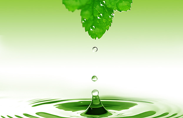 PSD 식물 편집이미지 물결 컬러 백그라운드 잎 자연 나뭇잎 사람없음 초록색 물 물방울 이슬 디지털합성 물백그라운드 이미지편집 자연요소 생태계 파일형식