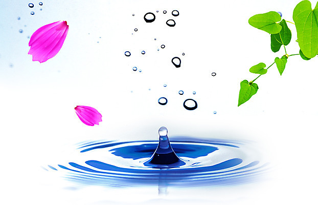 PSD 식물 편집이미지 꽃잎 꽃 물결 백그라운드 잎 자연 나뭇잎 사람없음 물 물방울 이슬 디지털합성 물백그라운드 이미지편집 자연요소 생태계 파일형식