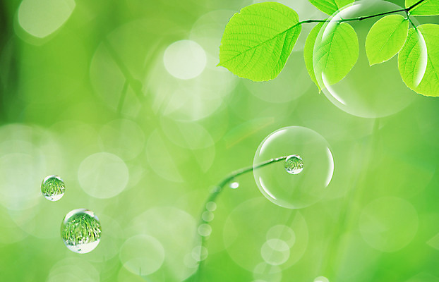 PSD 식물 편집이미지 컬러 백그라운드 잎 자연 나뭇잎 사람없음 초록색 물 물방울 나뭇가지 이슬 디지털합성 공기방울 물백그라운드 이미지편집 자연요소 나무 생태계 파일형식