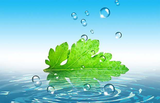 PSD 식물 편집이미지 물결 백그라운드 잎 자연 나뭇잎 사람없음 물 물방울 디지털합성 물백그라운드 이미지편집 자연요소 생태계 파일형식