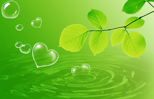 PSD 식물 편집이미지 물결 컬러 백그라운드 잎 자연 나뭇잎 사람없음 초록색 물 물방울 하트 디지털합성 물백그라운드 이미지편집 자연요소 모양 생태계 파일형식