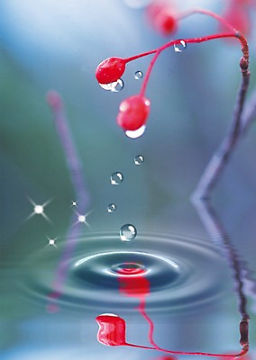 PSD 식물 편집이미지 열매 물결 백그라운드 과일 사람없음 물 반사 물방울 이슬 물백그라운드 이미지편집 자연요소 파일형식