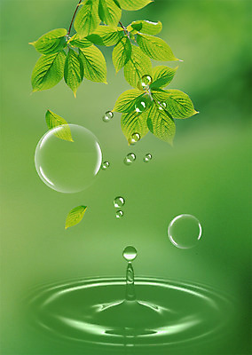 PSD 식물 편집이미지 물결 백그라운드 잎 나뭇잎 사람없음 초록색 물 물방울 이슬 공기방울 물백그라운드 이미지편집 자연요소 컬러 파일형식
