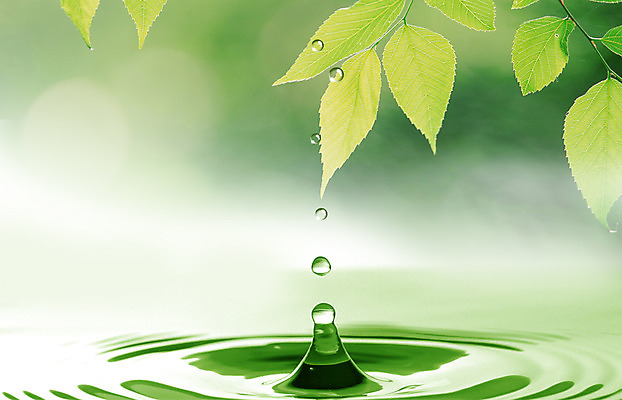 PSD 식물 편집이미지 물결 백그라운드 잎 나뭇잎 사람없음 초록색 물 물방울 이슬 물백그라운드 이미지편집 자연요소 컬러 파일형식