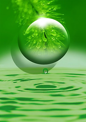 PSD 식물 편집이미지 물결 백그라운드 잎 사람없음 초록색 물 물방울 풀 풀잎 이슬 물백그라운드 이미지편집 자연요소 컬러 풀_식물 파일형식