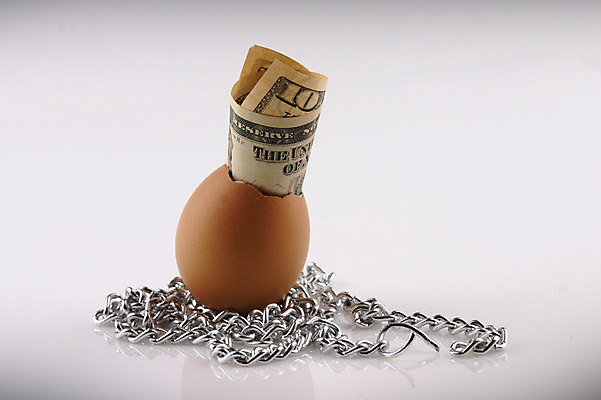 포토 JPG 스튜디오촬영 컨셉 지폐 돈 실내 사람없음 금융 경제 달러 계란 계란껍데기 오브젝트 외화 철사 국내포토 내부 알 재산 파일형식