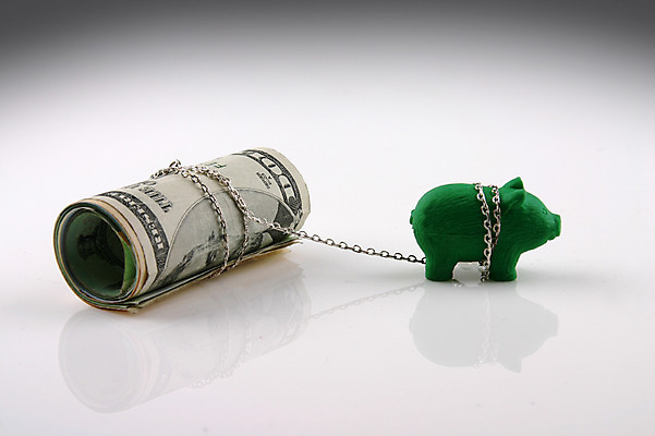 포토 JPG 스튜디오촬영 컨셉 지폐 돈 실내 사람없음 금융 경제 달러 돼지 오브젝트 외화 돼지모형 말린_둥글게 국내포토 포유류 내부 모형 재산 파일형식