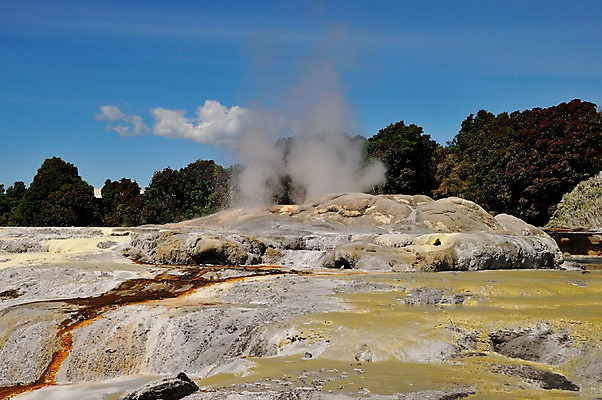 포토 JPG 나무 구름 여유 하늘 풍경 사람없음 야외 온천 돌_바위 바위 연기 숲 상쾌 뉴질랜드 로토루아 국내포토 자연요소 식물 감정 스파 오세아니아 파일형식