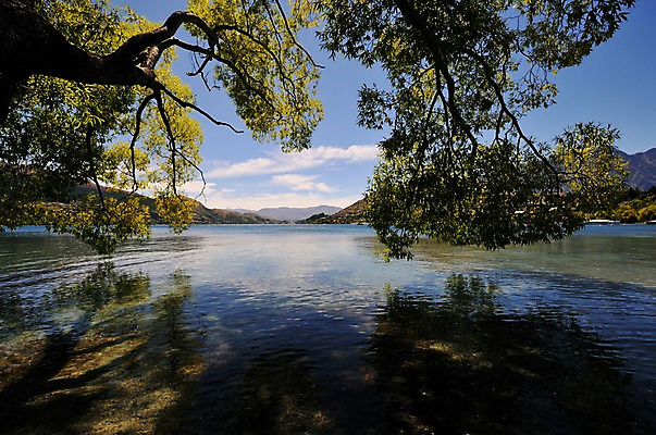 포토 JPG 나무 구름 여유 하늘 풍경 사람없음 야외 강 나뭇가지 숲 상쾌 뉴질랜드 퀸즈타운 국내포토 자연요소 식물 감정 오세아니아 파일형식