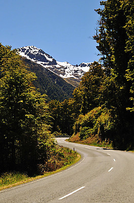 포토 JPG 도로 여유 산 풍경 사람없음 야외 숲 가로수 상쾌 뉴질랜드 중앙선 국내포토 감정 길 교통시설 오세아니아 파일형식