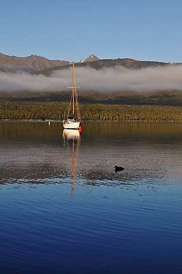 포토 JPG 동물 한마리 호수 여유 조류 산 오리 풍경 사람없음 야외 상쾌 뉴질랜드 테아나우 선박 국내포토 1 감정 수상교통 오세아니아 파일형식