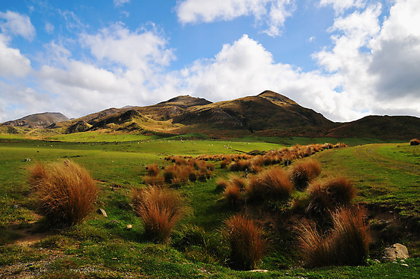 포토 JPG 식물 구름 여유 하늘 산 풍경 초원 사람없음 야외 상쾌 뉴질랜드 남섬 국내포토 자연요소 감정 섬 오세아니아 파일형식