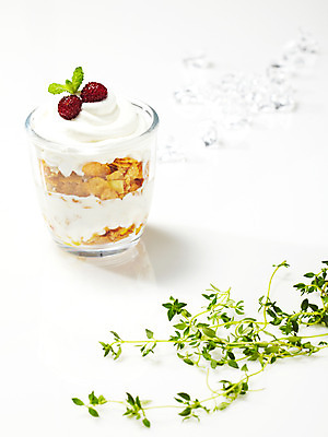 포토 JPG 스튜디오촬영 식물 그릇 음식 잎 과일 딸기 아이스크림 디저트 여름음식 사람없음 과자 용기 풀 시리얼 생크림 빙수 파르페 제철음식 국내포토 식기 실내 크림 제철 파일형식 여름_계절